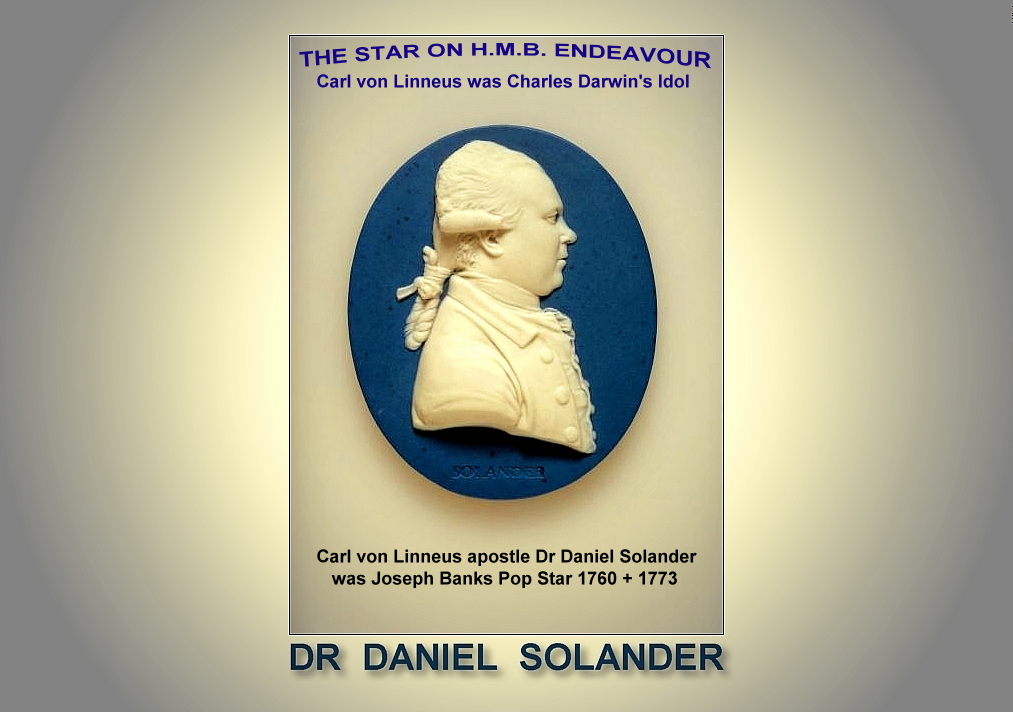 THE STAR ON BOARD ENDEAVOUR